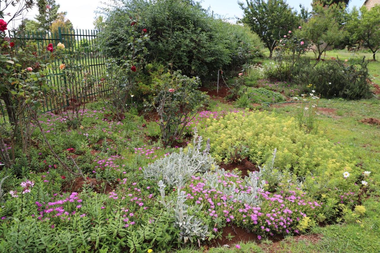 Sirimiri Cottage Dullstroom Extérieur photo